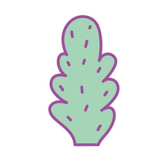 foliage frond vegetation