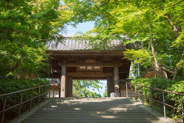 Engakuji Temple gate and stone staircase in Kamakura, Japan　鎌倉 円覚寺の総門と石の階段
