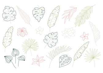 Fototapeta na wymiar Set of delicate tropical foliage in line art style. Big set of elegant hand drawn flowers, leaves and plants. Botanical design elements