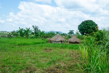 Fototapeta na wymiar Traditional village house in Uganda. Africa, Uganda