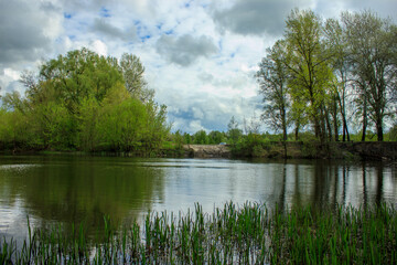 Fototapeta na wymiar lansdcape with trees by the river in spring, Ukraine
