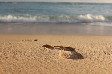 Footprints on the beach