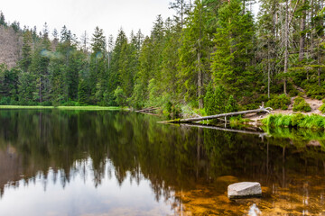 Fototapeta premium The Black Forest of Germany