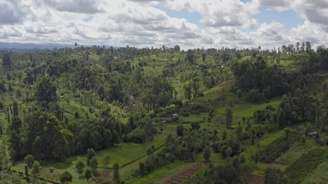Aerial landscape view of tipping plantations! Growing tea on agricultural fields on the slopes of the mountains! Drone video of mountain ranges covered with forests and jungles in Africa Kenya.