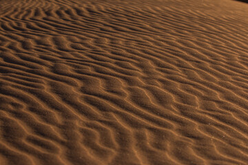 waves and lines in red sand of namibia