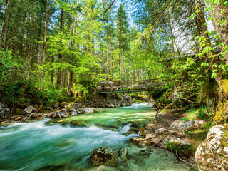 Obraz premium Berchtesgaden Wild River Forest Landscape close to the Hintersee Tourist area