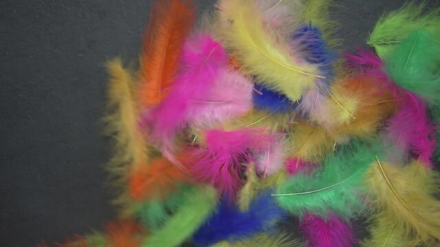 A light breeze blows colorful feathers. There is a black background under the feathers. Slate. Place for your text. Festive background, masquerade. Surprise