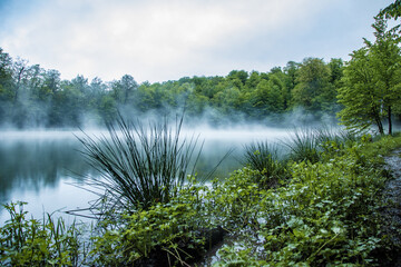 Naklejka premium Foggy green forest and lake