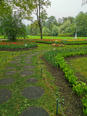 Large flower beds with red and other tulips between them, a path laid out of tree cuts on a spring day among the trees. The festival of tulips on Elagin Island in St. Petersburg..