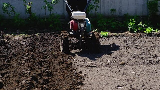 Shouting a vegetable garden with a plow with a tractor. Selective focus.