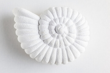Decor for home in shape of snail shell on white background. Ammonite prehistoric fossil. Nautilus shell.