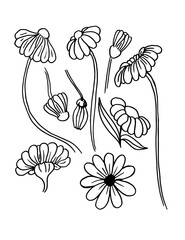 Set of watercolor flowers black line.  - 435123264
