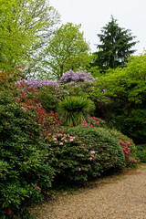 Spring in the grounds of Exbury gardens