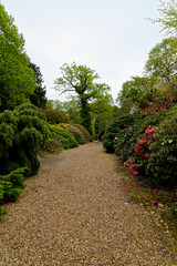 Spring in the grounds of Exbury gardens