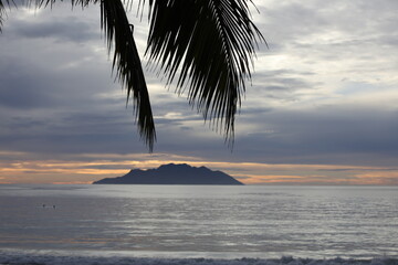 A palm branch on the background of a seascape with calm silver water, a sunset sky with clouds and...