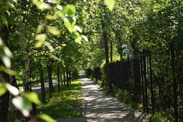 Прогулочная аллея