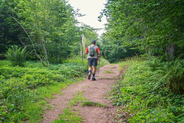 Hiker trekking in the mountains. Active life concept.