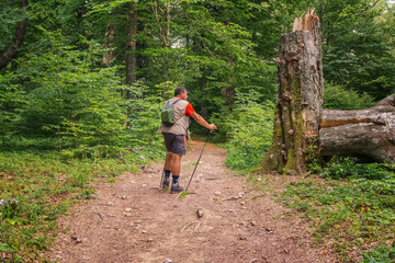 Obraz premium Hiker trekking in the mountains. Active life concept.