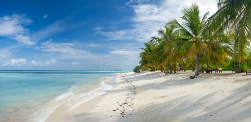Maldives tropical islands panoramic scene, idyllic beach palm tree vegetation and clear water Indian ocean sea, tourist resort holiday vacation