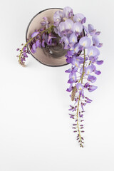 Obraz na płótnie Canvas still life with wisteria flowers mockup