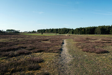 Fototapeta na wymiar Hiking trail through field in a nature reserve. Far away in the distance is an unrecognizable person. Photo taken on a summer day in the countryside in Skane, Sweden