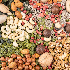 various edible nuts and seeds