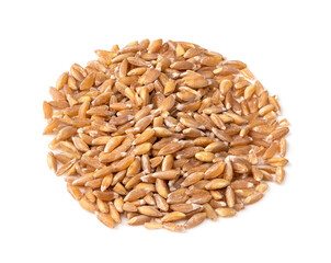 pile of whole Emmer farro grains closeup on white