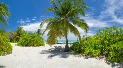 Fototapeta na wymiar Maldives tropical islands panoramic scene, idyllic beach palm tree vegetation and clear water Indian ocean sea, tourist resort holiday vacation