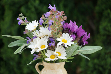 Spring herbs lavender and sage and white daisies in vase