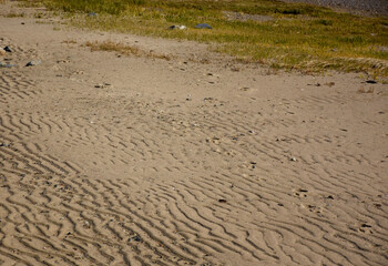 Ripples in the Sand Along a Beach in Plymouth