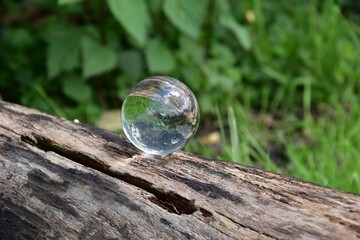 Szklanna kula polozona na pniu drzewa