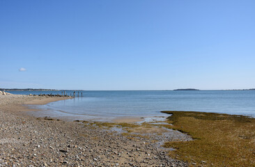 Rocky and Rugged Beach Along the Coast