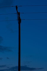 sylwetka słupa energetycznego na tle wieczornego nieba © Andrzej Michaluk