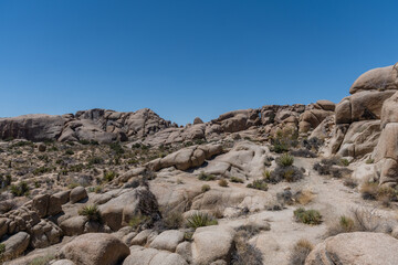 Fototapeta na wymiar Scenic rock formation at the Joshua Tree National Park, Southern California
