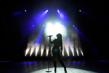 Silhouette of singer on stage. Dark background, smoke, spotlights.