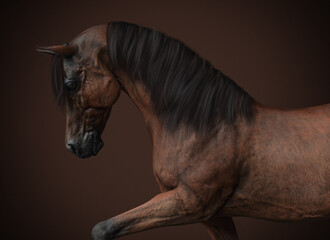 brown horse portrait - 3d rendering