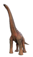 Fototapeta premium alamosaurus in white background