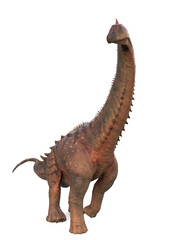 Fototapeta premium alamosaurus is walking in white background
