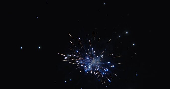Colorful fireworks dyeing the night sky while exploding beautifully. 
