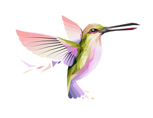 Hummingbird colorful low poly vector illustration