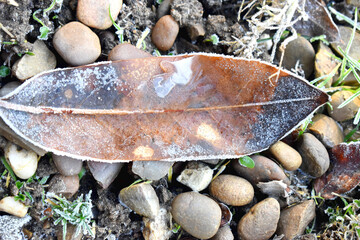 Close up of brown leaf with ice crystal on stones. Nature background on winter season.