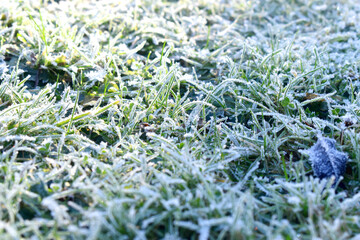 Beautiful ice crystal frozen cover on green grasses on morning light in wintwer season. Nature background.