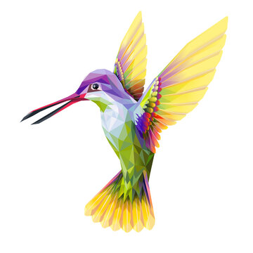 Hummingbird colorful low poly vector illustration