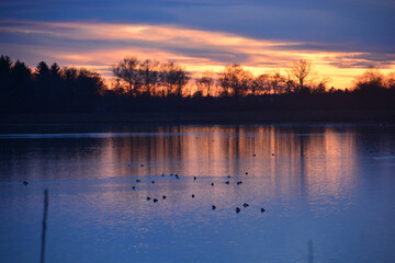 Fabulous sunset reflection on lake water and  horizon - Powered by Adobe