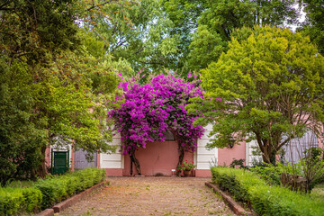Beautiful panoramic view of a colonial garden, with plants, flowers and trees in bright colors. Palacio de San Jose, Entre Ríos.