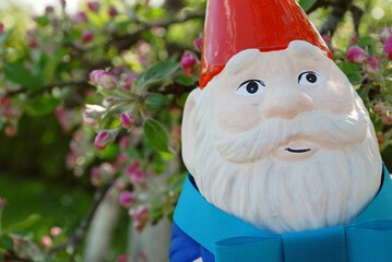 garden gnome 