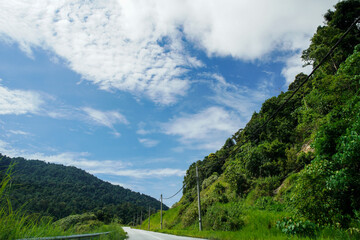 Country road meandering through a green forest and village area with a bright blue sky