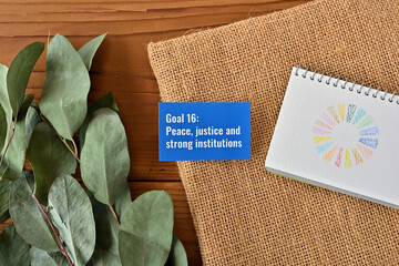 There is card with the statement Goal 16:Peace, justice and strong institutions on it one of the...