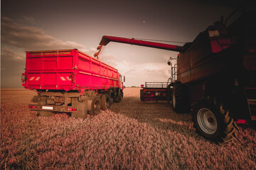 Harvesting grain in a farmer's field. The combine harvester unloads into the back of an agricultural the truck in the evening at sunset. Bright rural background, wallpaper, design. Tinted photo.