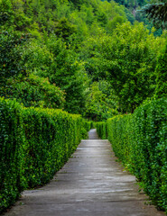 Green Path